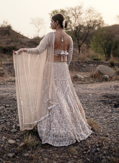 Ivory Tulle Hand Embroidered Lehenga Set