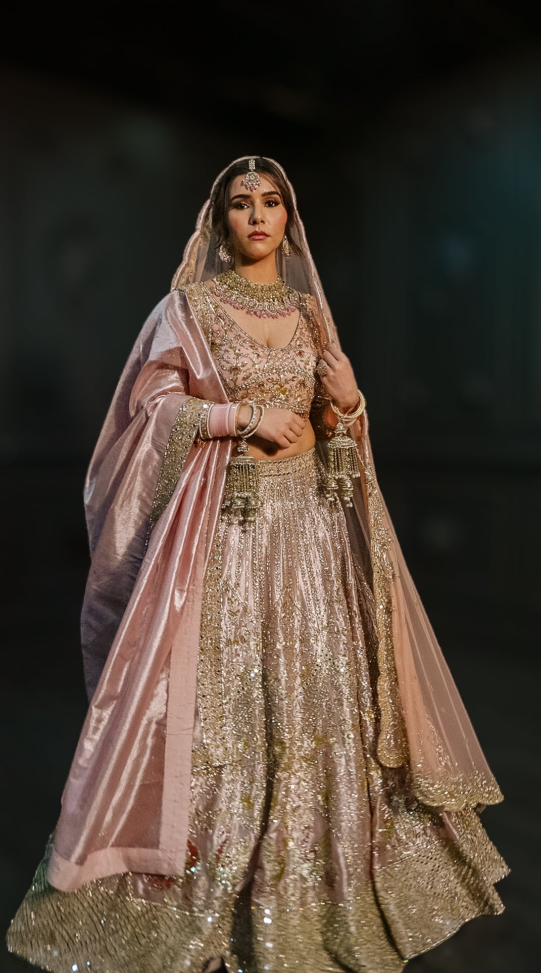 Stone work Blush Pink Lehenga