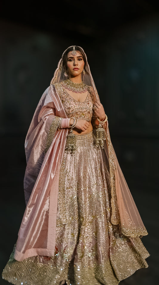 Stone work Blush Pink Lehenga